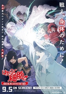 Hataraku Saibou!! Saikyou no Teki, Futatabi. Karada no Naka wa "Chou" Oosawagi! (2020)